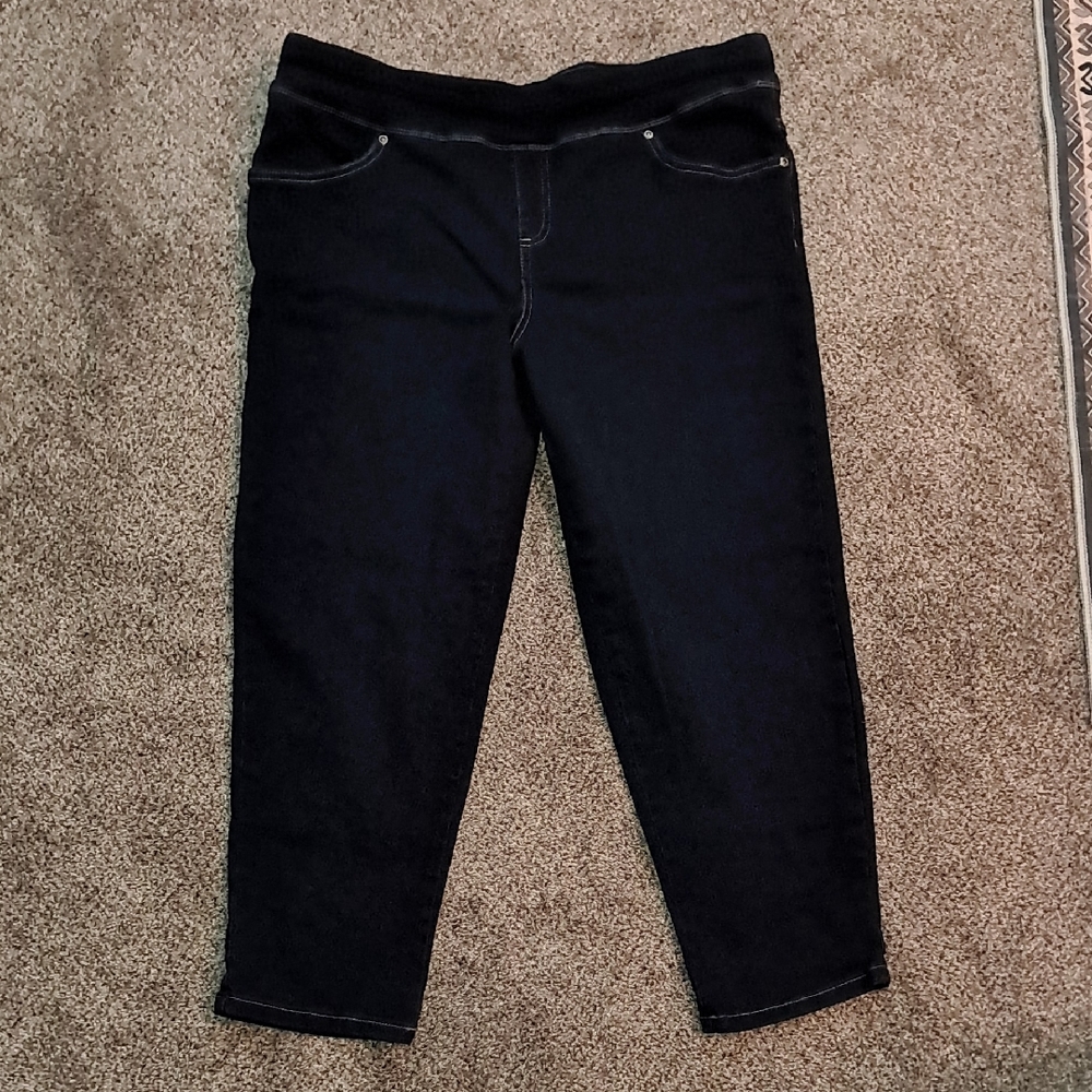 Terra & Sky Women's Stretch Waist Dark Wash Blue Jeans OX (14W) Petite